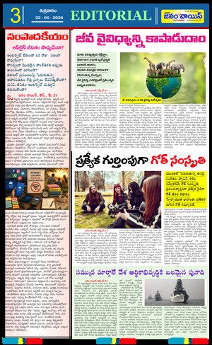 Tabloid Edition